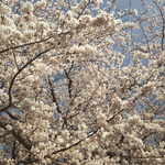 5EB0D65F-4C5C-49C3-8577-FD9FEFA83CC3.jpg
