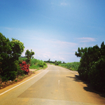 681A6F83-DC01-48A7-B9D9-004A60DB7DDB.jpg