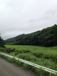 8184D192-18B6-4F9D-B6A6-1F3E50A07BBF.jpg