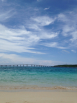 D0E979FA-35CC-4B53-A693-3660A3E7A66A.jpg